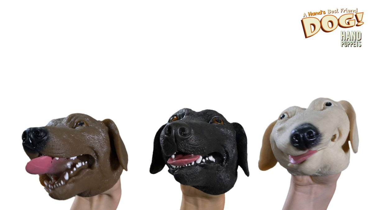 Dog hand puppet video