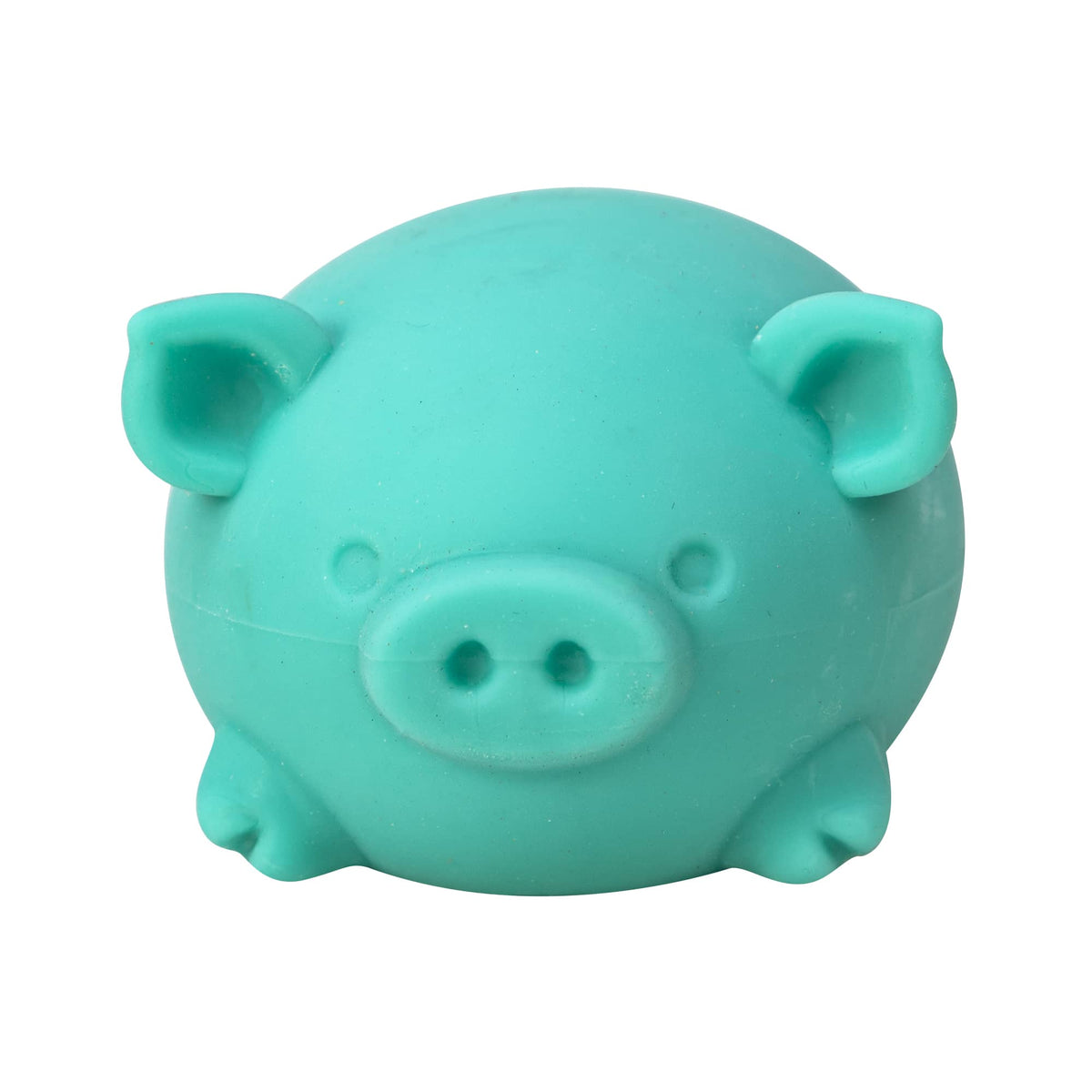 Dig it Pig - Teal Front